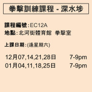 2024-25 拳擊訓練課程 12-1月 EC12A (深水埗)