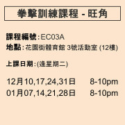 2024-25 拳擊訓練課程 12-1月 EC03A (旺角)